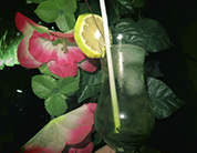 Coctel de coca - El Tambo