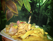 Lomito Saltado de Pollo - El Tambo